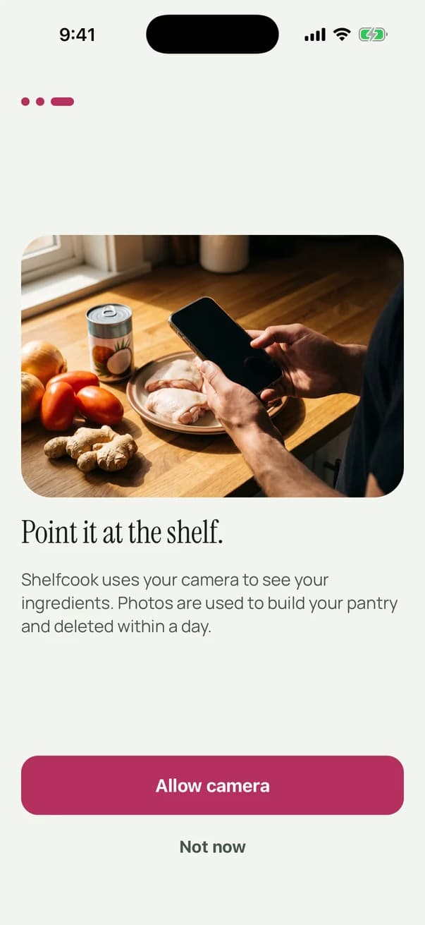 The camera permission screen: a photograph of hands holding a phone over a counter with chicken thighs, tomatoes, onions, ginger, and a tin of coconut milk, headed Point it at the shelf, explaining that photos build the pantry and are deleted within a day.